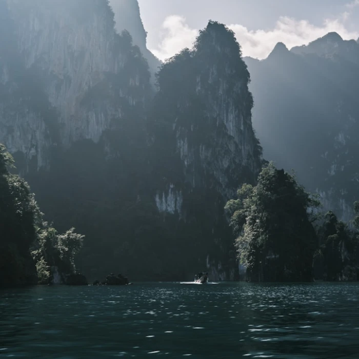 Asia's Top Spots for Whale & Dolphin Watching: An Unforgettable Marine Adventure