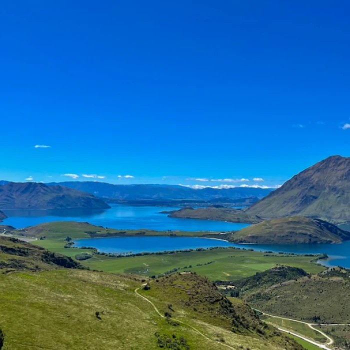 Coffee Culture in New Zealand: The Best Cafes for Caffeine Lovers