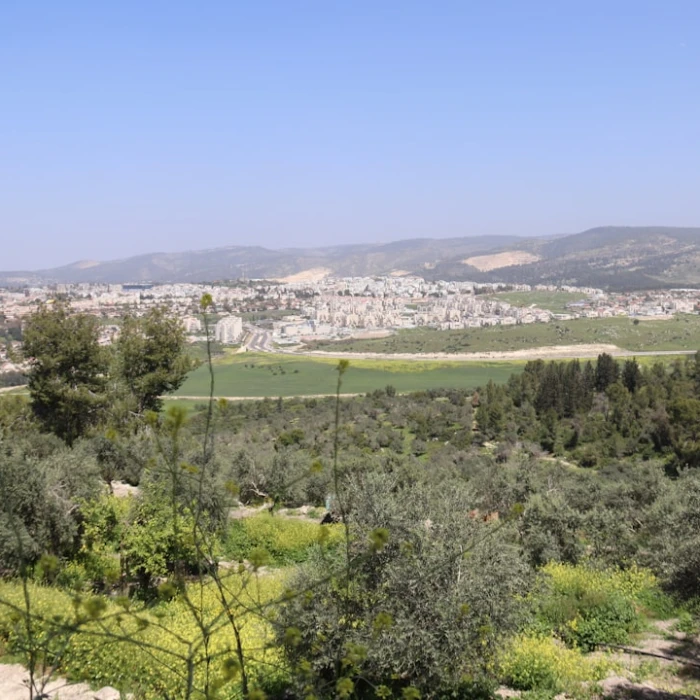 Master Israel's Public Transport: Your Essential Guide to Navigating with Apps