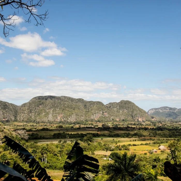 The Best Shopping Spots in Cuba: From Souvenirs to High Fashion