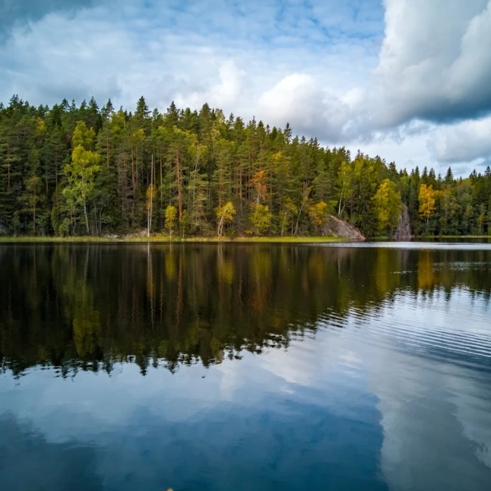 Finland's Crucible: Unveiling Its Most Important Historical Battles