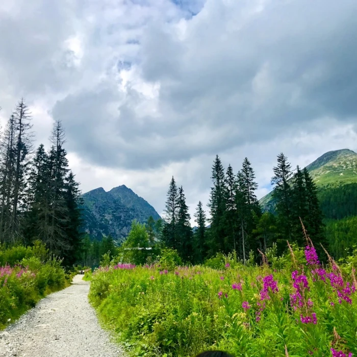 Discover Slovakia's Cinematic Landscapes: Your Guide to Famous Filming Locations
