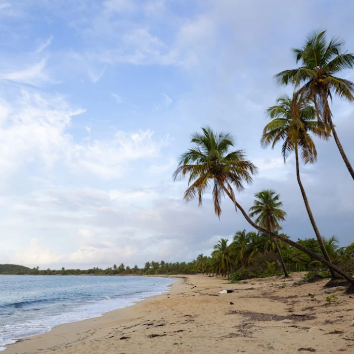 Experience the Vibrant Soul: Your Guide to Puerto Rico's Best Traditional Festivals