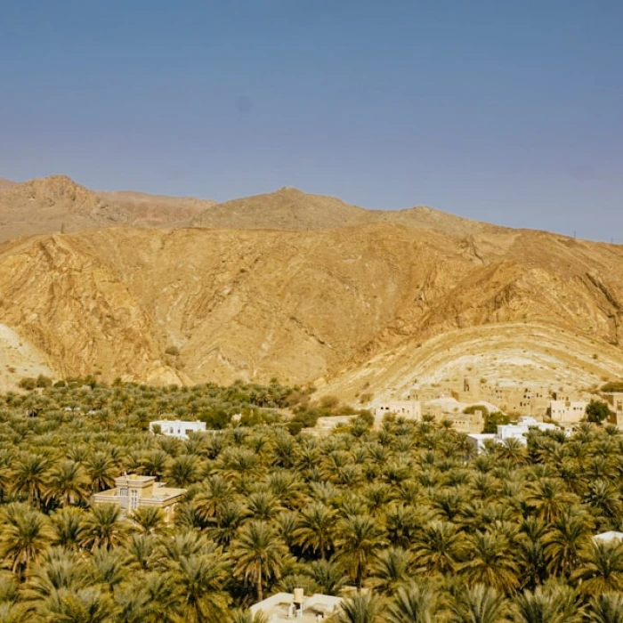 The Best Places for a Picnic with a View in Oman