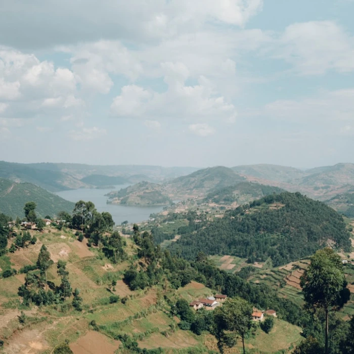 Discover Uganda's Hidden Gems: A Guide to the Best Local Flea Markets