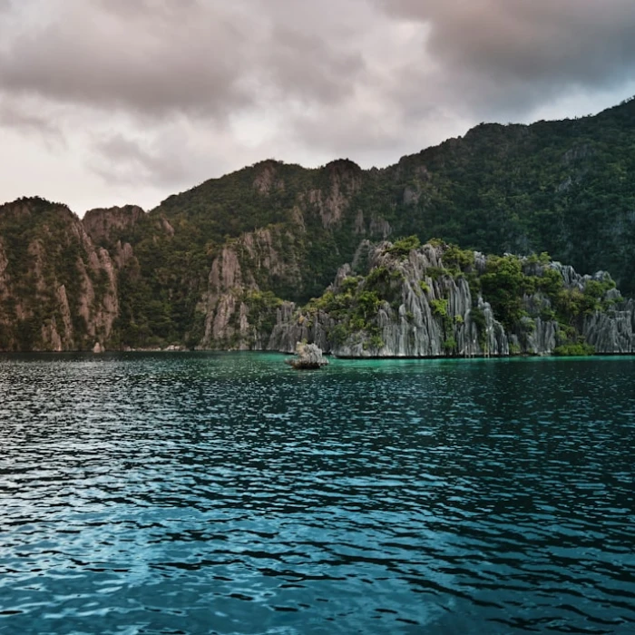 Top 10 Must-Buy Souvenirs: Your Ultimate Philippines Shopping Guide