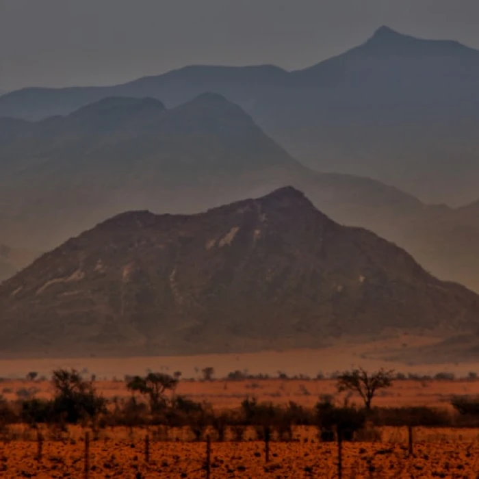 The Best Places for Wildlife Spotting in Namibia: An Unforgettable Safari Guide