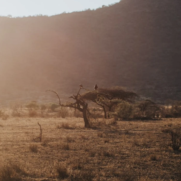 Discover Kenya's Iconic Courtyards: A Journey Through History and Serenity