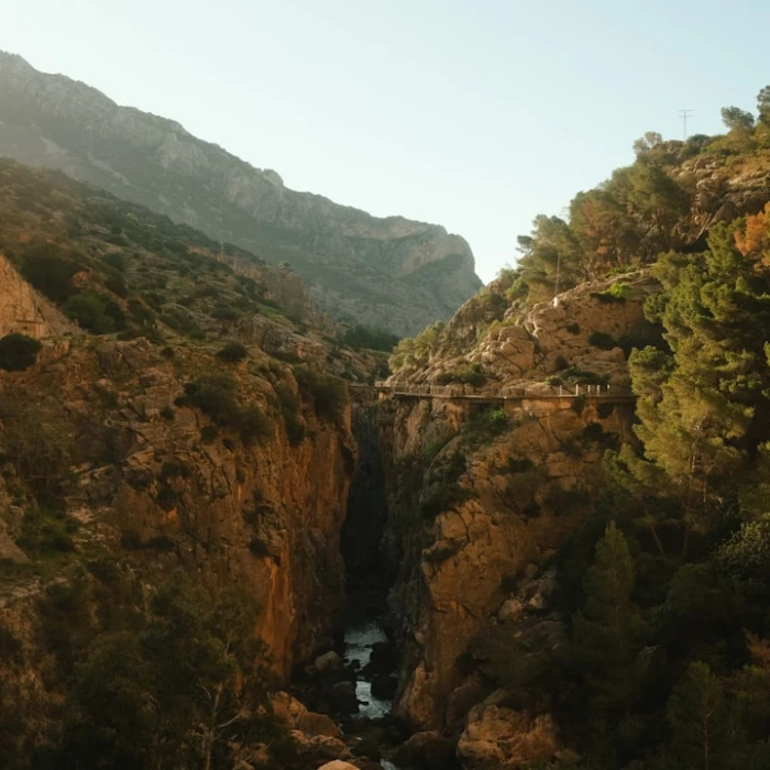 Unlock Spain Like a Local: Your Essential Guide to Must-Have Travel Apps