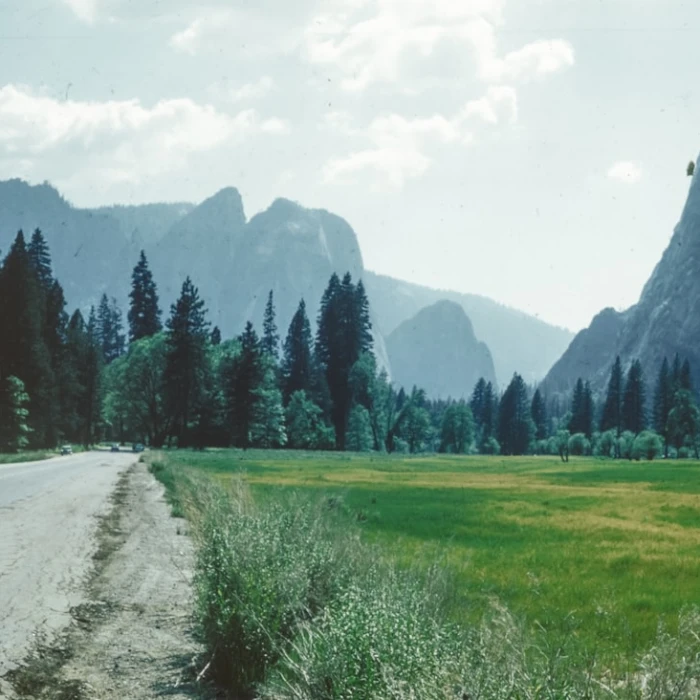 The Best Places for a Digital Detox in the United States