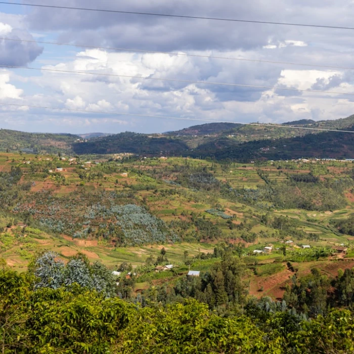 Discover Rwanda's Iconic City Bridges: Engineering Marvels & Urban Beauty