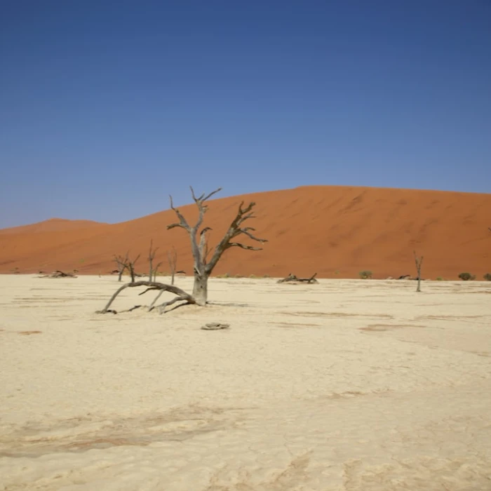 Unforgettable Namibia Day Trips: Explore Beyond the Major Cities!