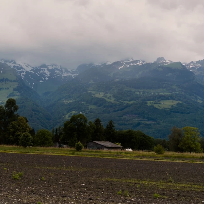 The Best Local Crafts Workshops for Tourists in Liechtenstein