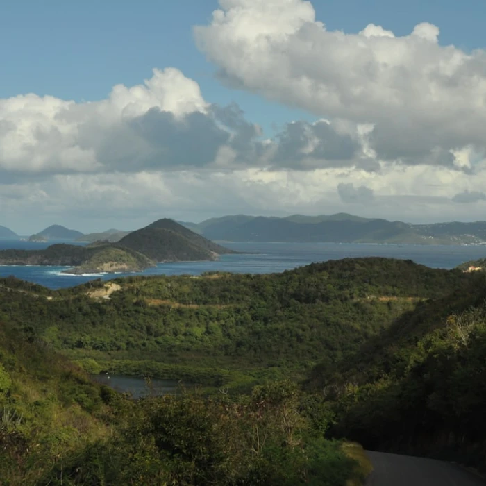Discover Nature's Gems: The Best Wildlife Spotting Destinations in the British Virgin Islands (BVI)