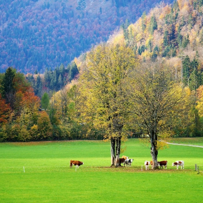 Sustainable Germany Travel Guide: Plan Your Eco-Friendly Itinerary