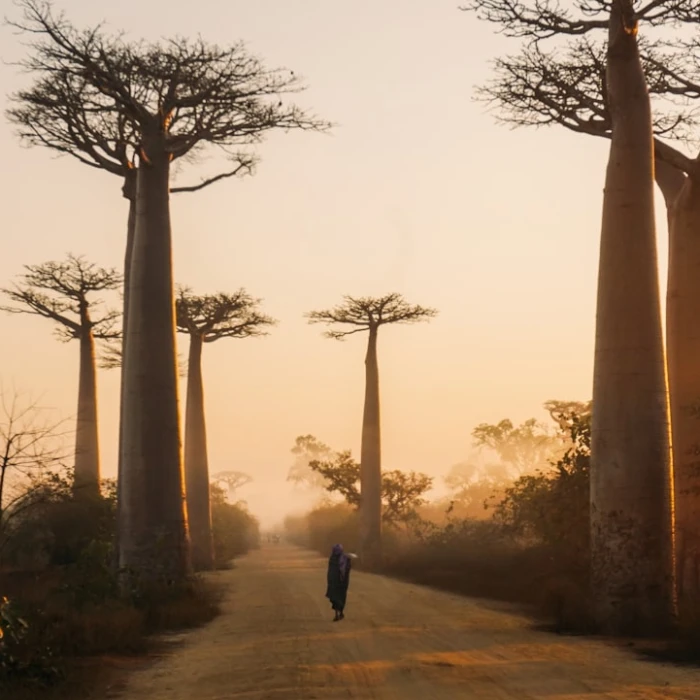 A Guide to the Most Iconic Fountains in Madagascar