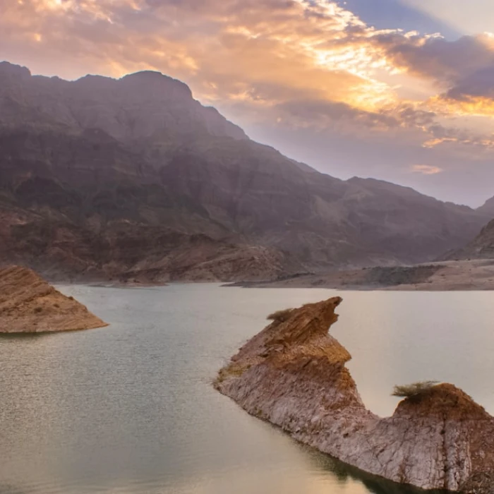 Discover Oman's Sweetest Secrets: The Best Local Ice Cream Shops You Must Visit