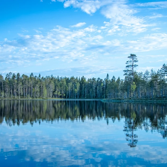 Discover Finland's Best Outdoor Vintage & Antique Markets: Your Guide to Nordic Treasures