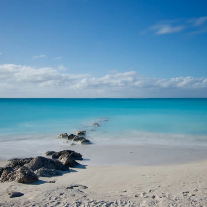 A Culinary Journey: Must-Try Traditional Dishes in Turks and Caicos Islands