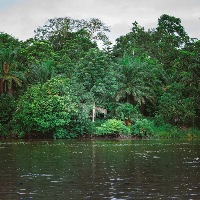 Discover Gabon's Most Breathtaking Scenic Walkways: Nature Trails & Coastal Paths