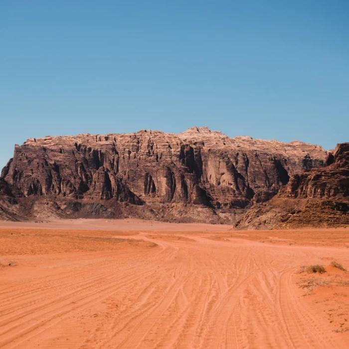 Discover Jordan's Hidden Treasures: Your Ultimate Guide to Local Flea Markets