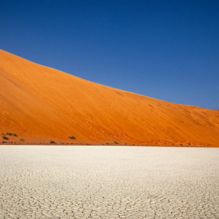 Navigating Namibia's Post Offices: Your Essential Guide to NamPost Services