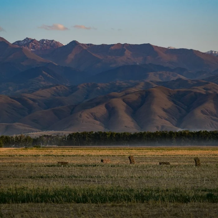 Soar Above the Steppe: Unveiling Kazakhstan's Top Paragliding & Skydiving Destinations