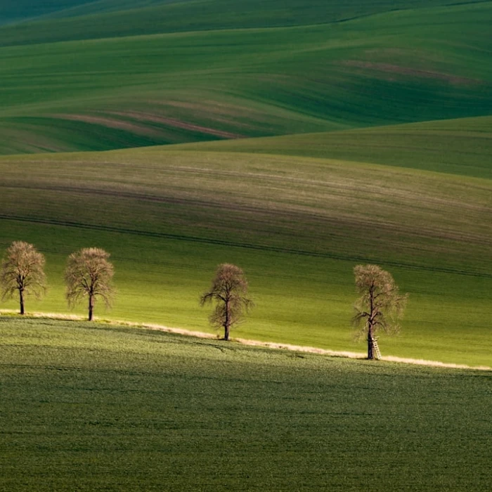 Stay Connected: Your Essential Guide to Getting a Local SIM Card & Data in the Czech Republic