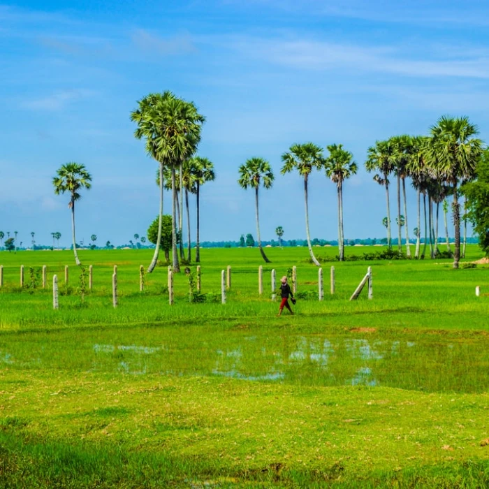 How to Use Local Vending Machines in Cambodia: A Comprehensive Guide
