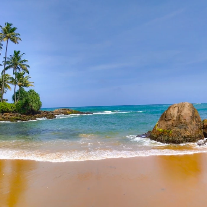 Soar Above Paradise: Your Ultimate Guide to Paragliding & Skydiving in Sri Lanka