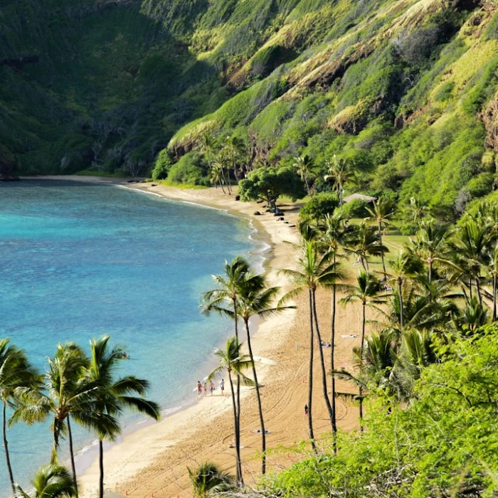 A Culinary Journey: Must-Try Traditional Dishes in Hawaii