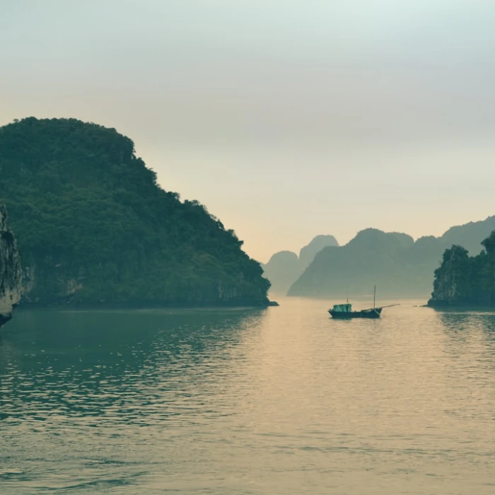 Savoring Vietnam: Your Ultimate Guide to Vegan & Vegetarian Delights