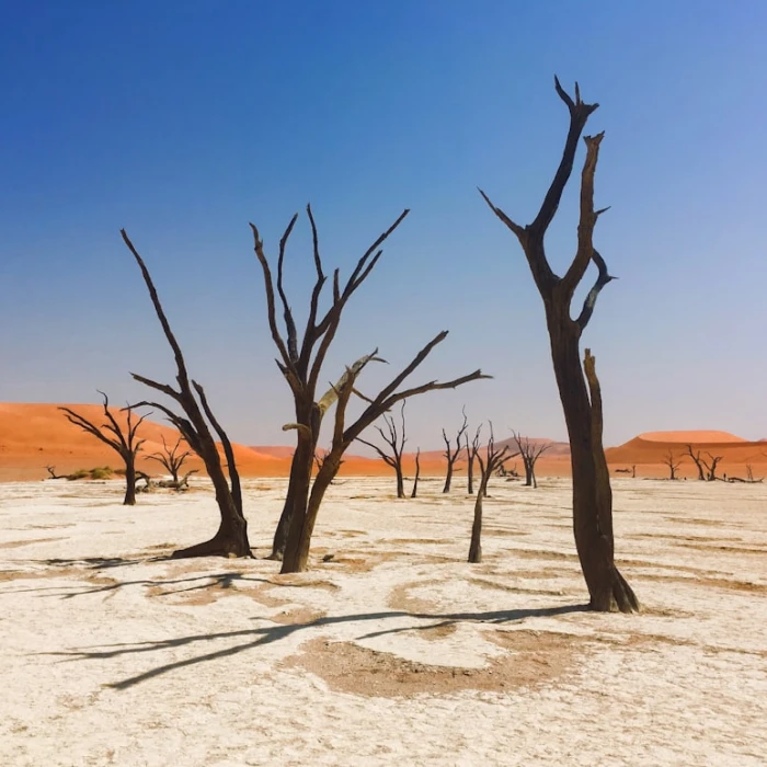 Your Essential Guide to Public Restrooms in Namibia: What Tourists Need to Know