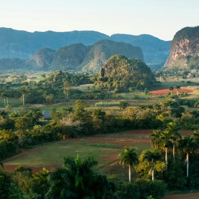Eating on a Budget in Cuba: Your Ultimate Guide to Saving Money on Food and Drinks