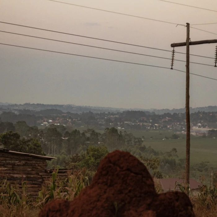 Uganda's Liquid Gold: A Comprehensive Guide to Local Drinks & Traditional Spirits