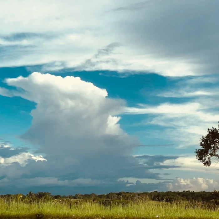 The Best Places for a Scenic Train Ride in Guyana