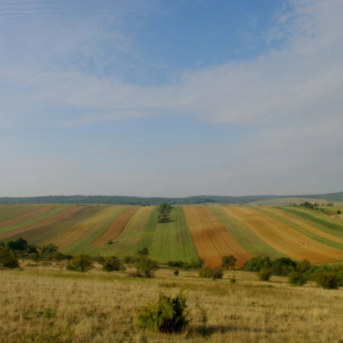 A Guide to the Most Beautiful Valleys in Hungary