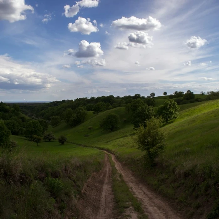 Discover Serbia's Most Breathtaking Picnic Spots