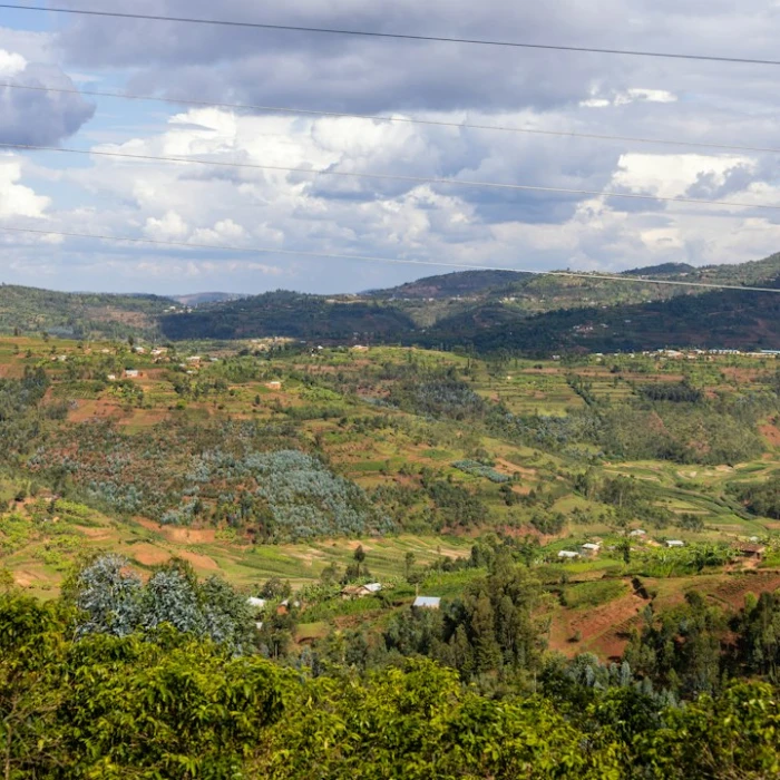 Digital Nomad Life in Rwanda: Best Cities for Remote Work