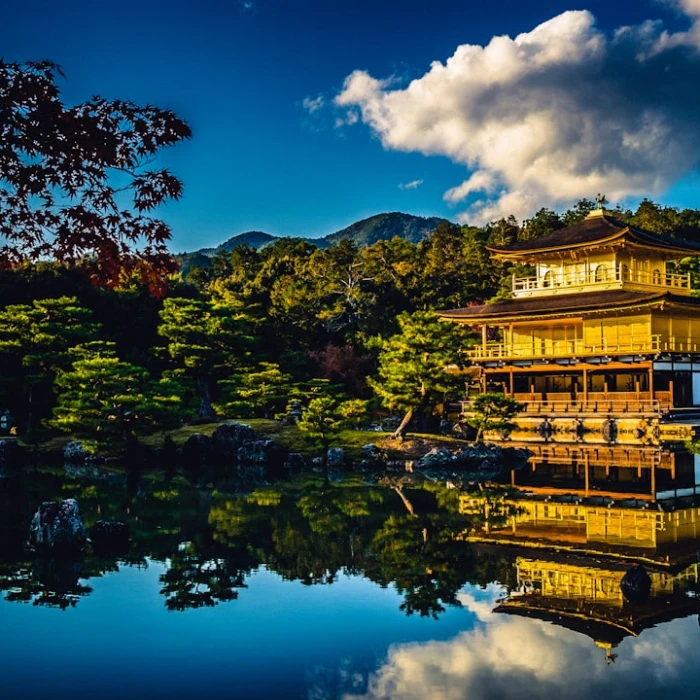 Discover Japan's Top Wellness Retreats & Spas for Ultimate Rejuvenation