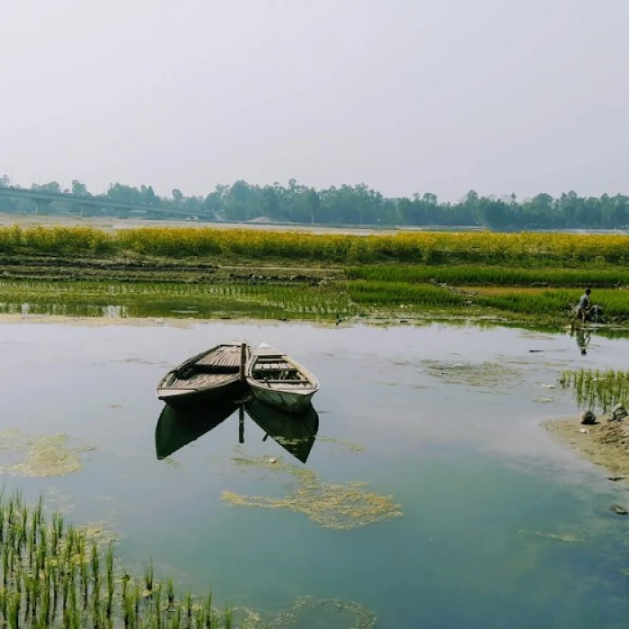 Discover Bangladesh's Most Vibrant Flower Markets: Your Ultimate Guide to Local Blooms