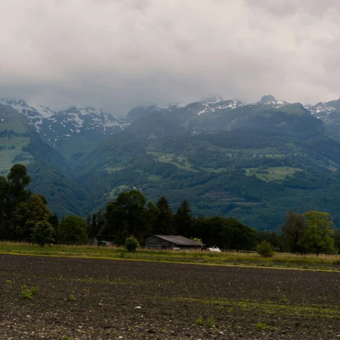 Unwind in Nature: Discover the Best Yoga Spots in Liechtenstein