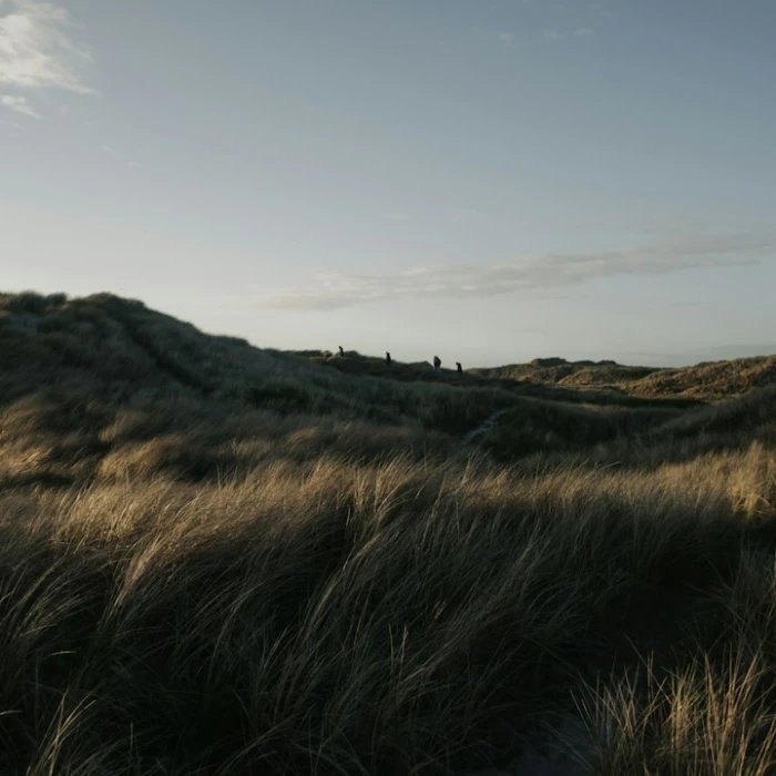 Your Gateway to Excellence: Exploring Denmark's Premier Universities and Schools