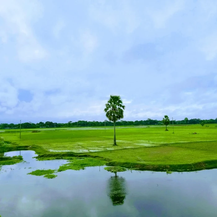 The Best Places for a Yoga Session in Bangladesh