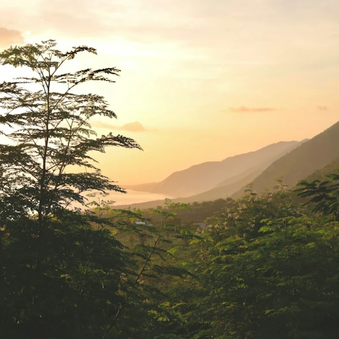 Discover Haiti by Bus: Unforgettable Scenic Routes & Breathtaking Views