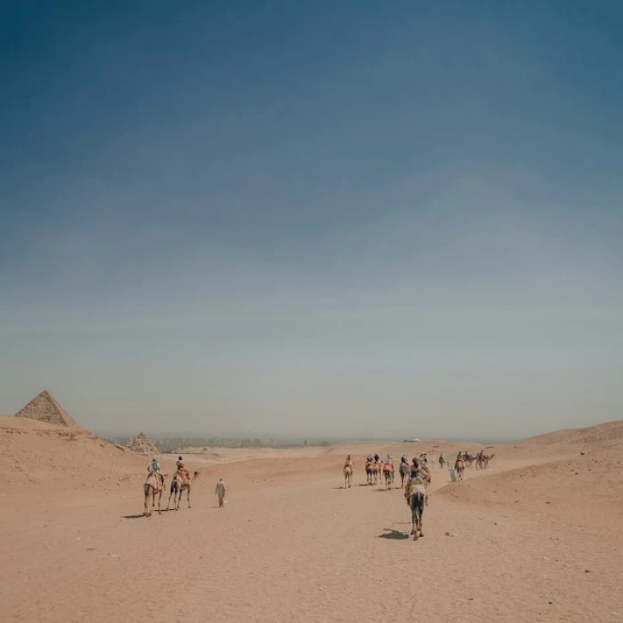 Discover Egypt's Hidden Gem: The Ultimate Vegan & Vegetarian Food Guide