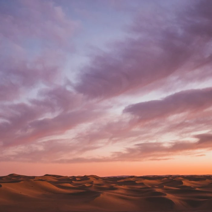 The Best Places for Horseback Riding in Morocco