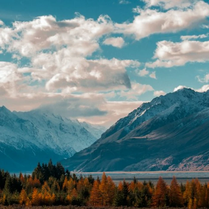Unwind & Recharge: The Best Silent Retreats Across the CIS for Ultimate Peace