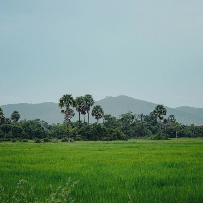 Your Essential Guide to Using Public Toilets in Cambodia
