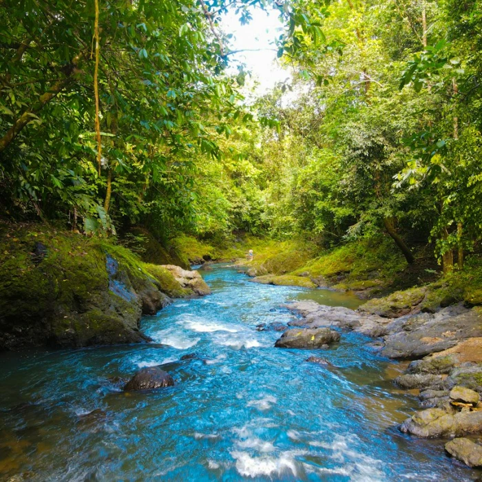 Unveiling Costa Rica's Underground: Exploring Vibrant Subcultures and Hidden Scenes